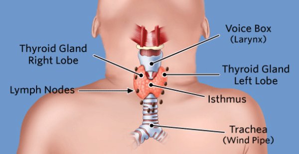 linfonodi-tiroide